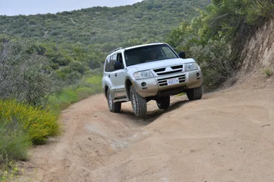 DSC_6858 (Large).JPG